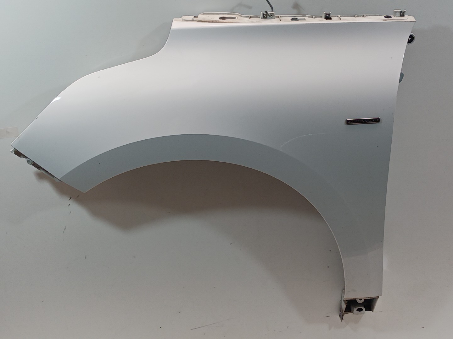 Guarda Lamas Frt Esq RENAULT GRAND SCÉNIC IV (R9_) | 16 - 