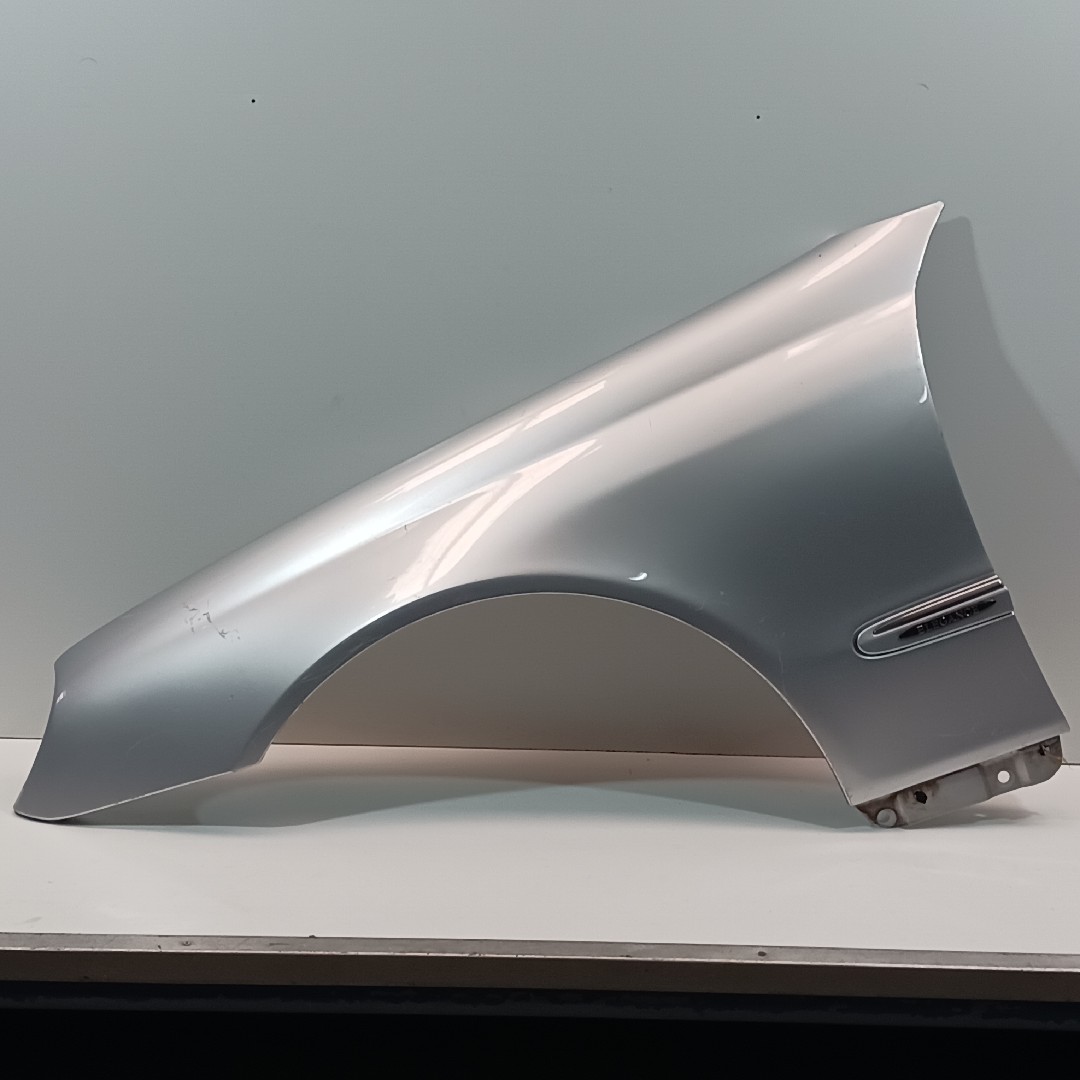 Guarda Lamas Frt Esq MERCEDES-BENZ CLK (C209) | 02 - 10