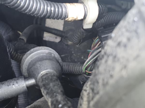 Servo Freio FORD FOCUS Turnier (DNW) | 99 - 07