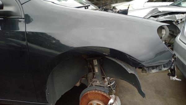 Guarda Lamas Frt Dto VOLKSWAGEN GOLF VI (5K1) | 08 - 14