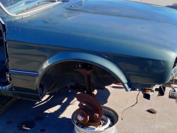 Guarda Lamas Frt Dto BMW 3 (E30) | 82 - 92