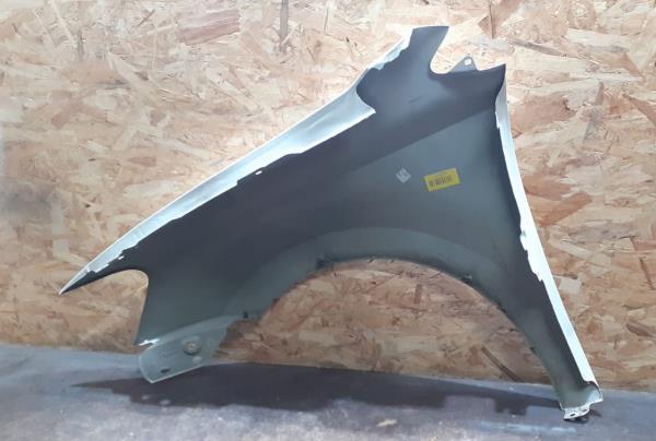 Guarda Lamas Dto VOLKSWAGEN POLO (6R1, 6C1) | 09 -  Imagem-1