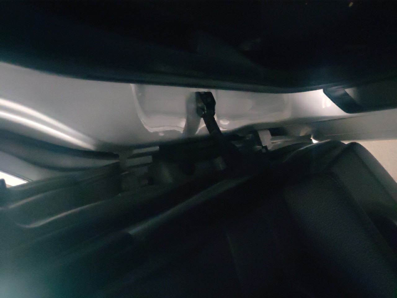 Esticador Porta Tras Esquerdo BMW 5 (E60) | 01 - 10