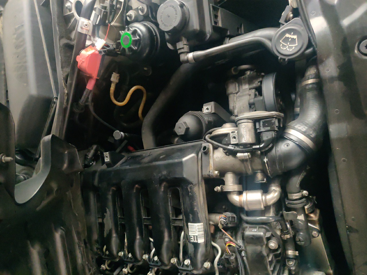 Apoio / Suporte do Motor BMW 5 (E60) | 01 - 10