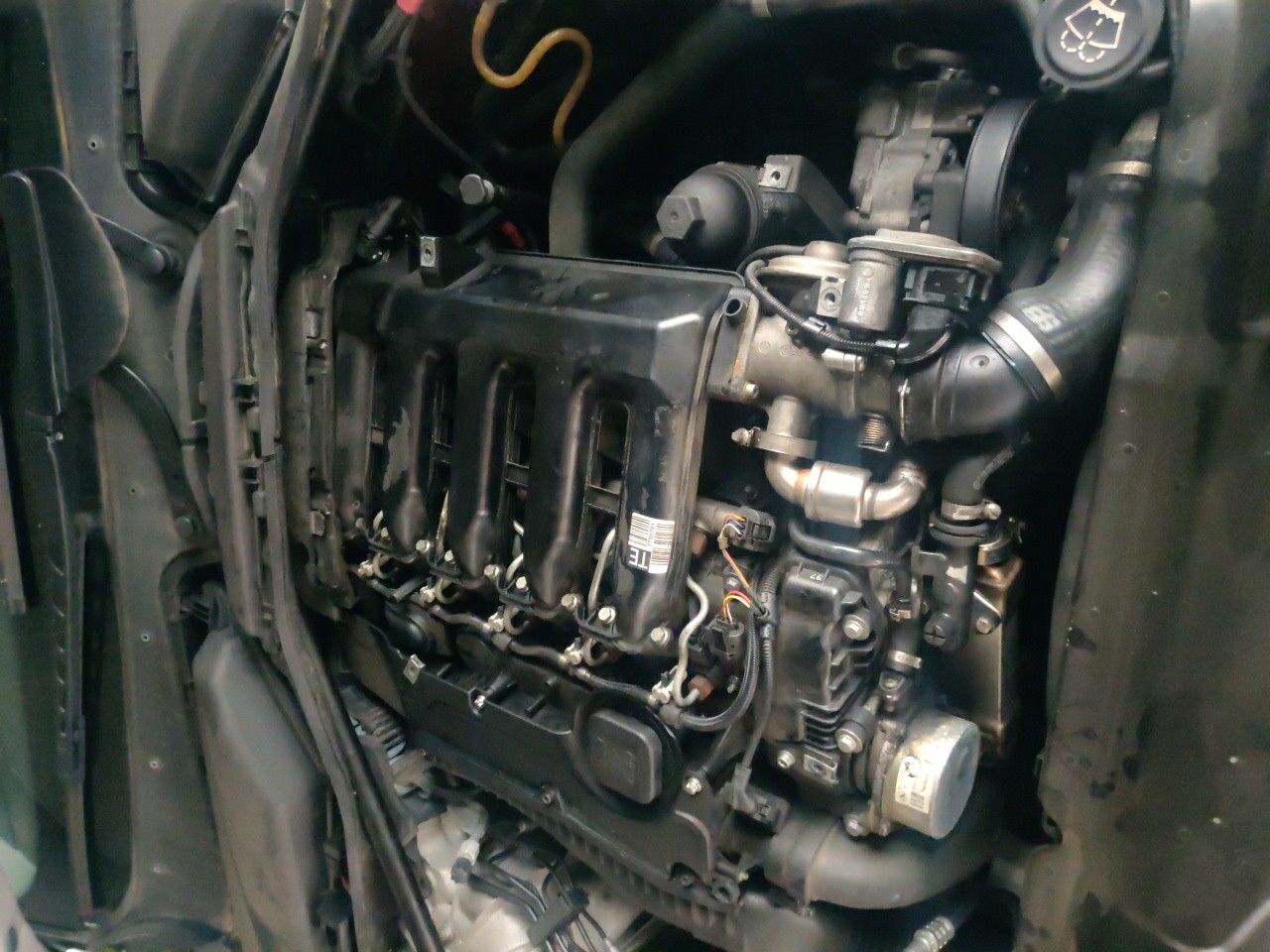 Motor para peças BMW 5 (E60) | 01 - 10