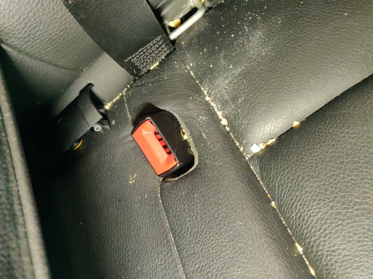 Encaixe Cinto Tras Esquerdo BMW 5 (E60) | 01 - 10
