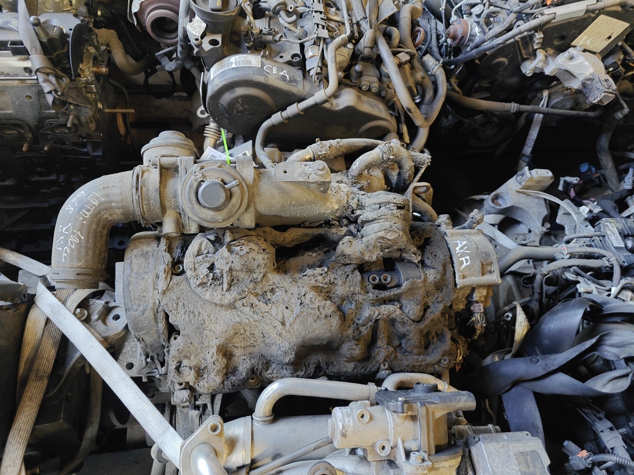 Motor para peças SEAT IBIZA III (6L1) | 02 - 09