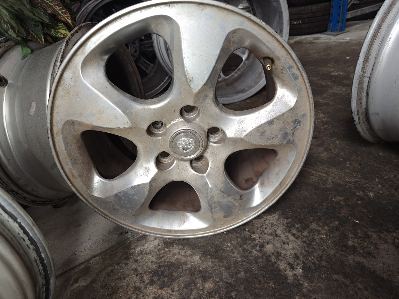 Jante Especial 16 polegadas JAGUAR X-TYPE (X400) | 01 - 09