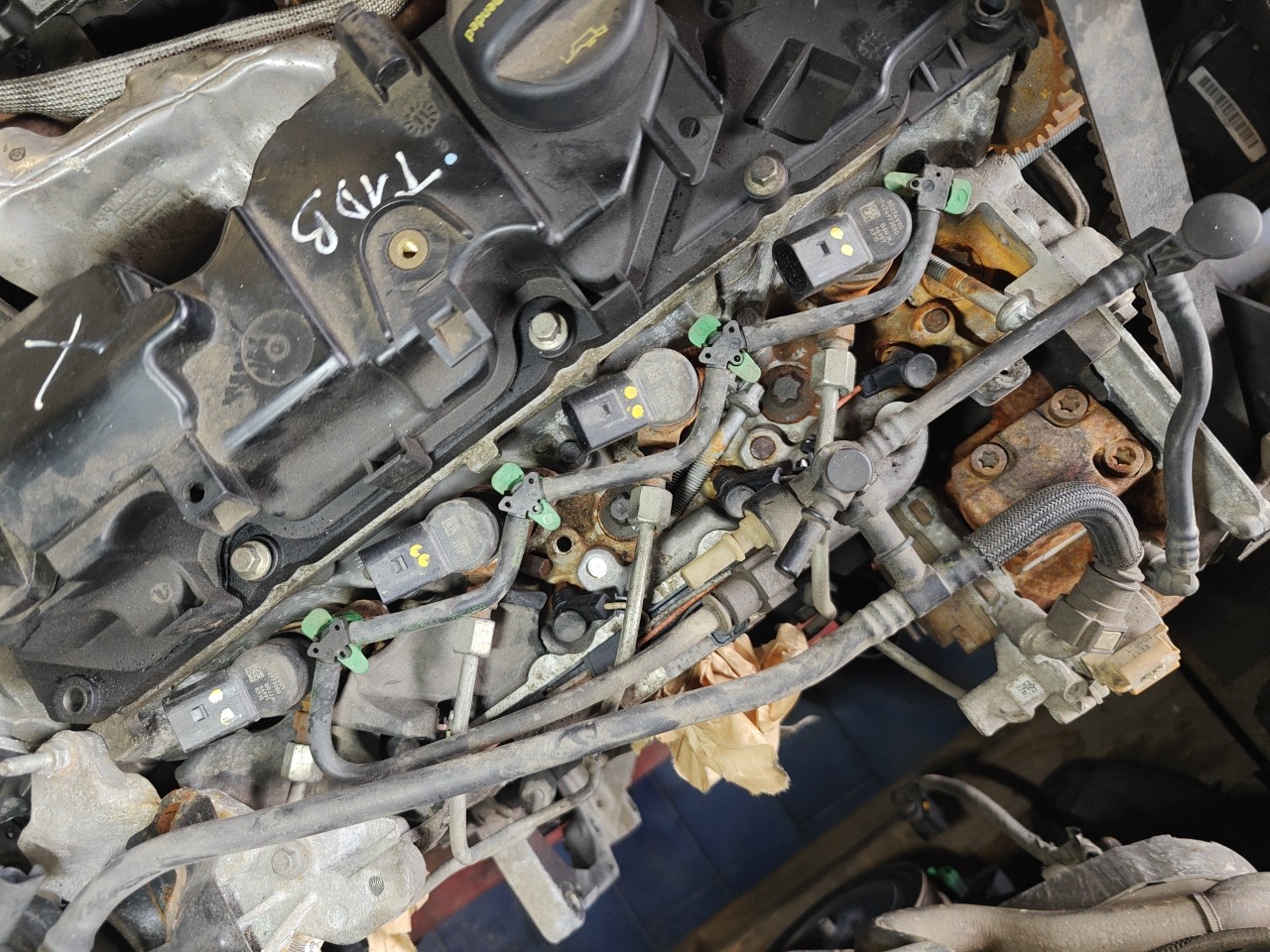Motor com acessorios FORD C-MAX II (DXA/CB7, DXA/CEU) | 10 -  Imagem-4 Motor com acessorios FORD C-MAX II (DXA/CB7, DXA/CEU) | 10 -  Imagem-4