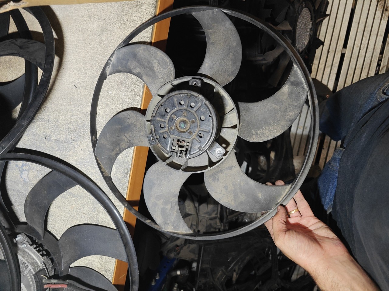 Motor do Termoventilador BMW 3 (E46) | 97 - 05