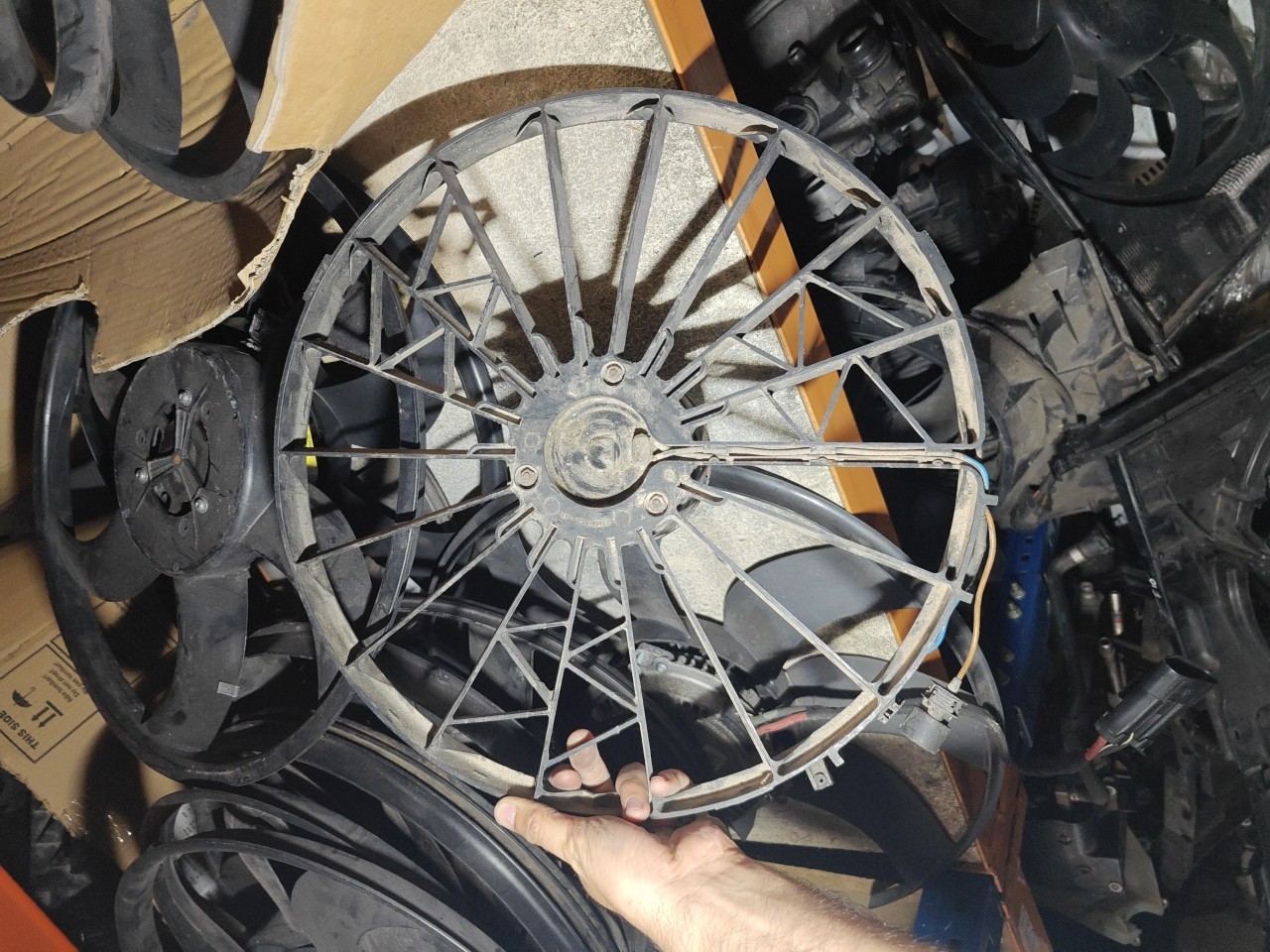 Motor do Termoventilador BMW 3 (E36) | 90 - 98