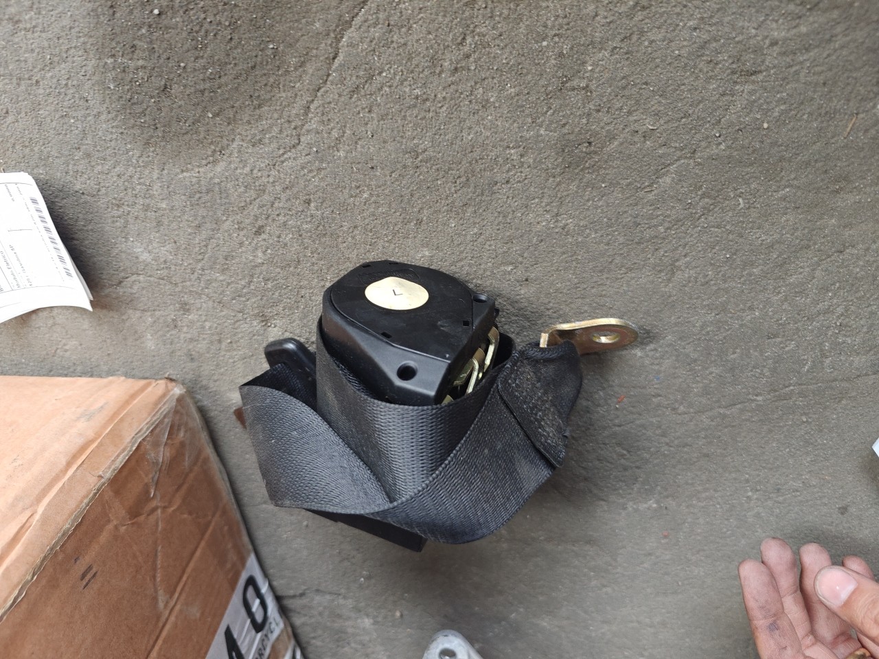 Cinto Segurança Tras Esquerdo BMW 5 Touring (E39) | 96 - 04