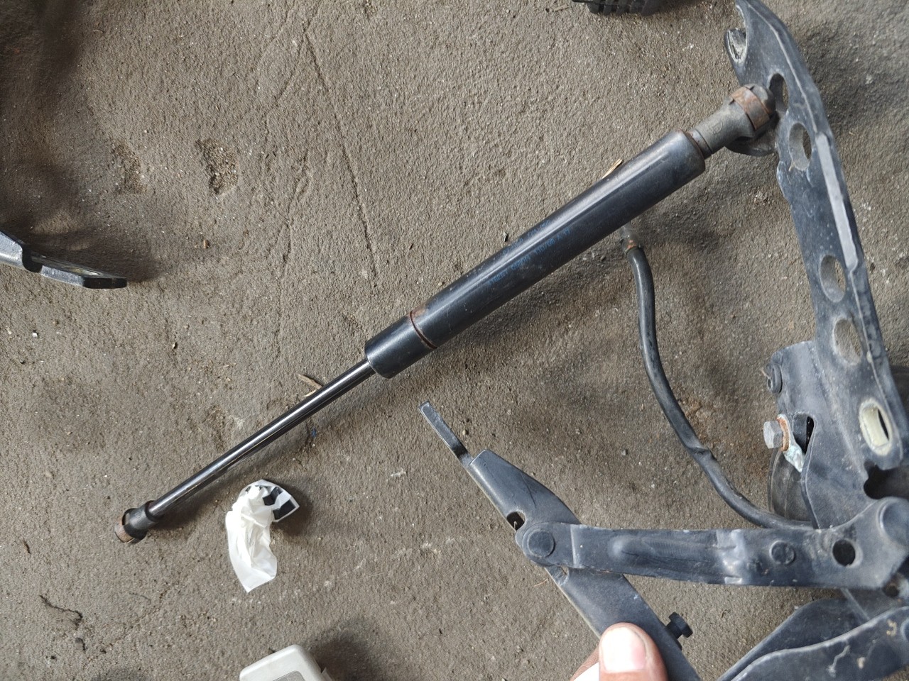 Amortecedor do Capot BMW 5 Touring (E39) | 96 - 04