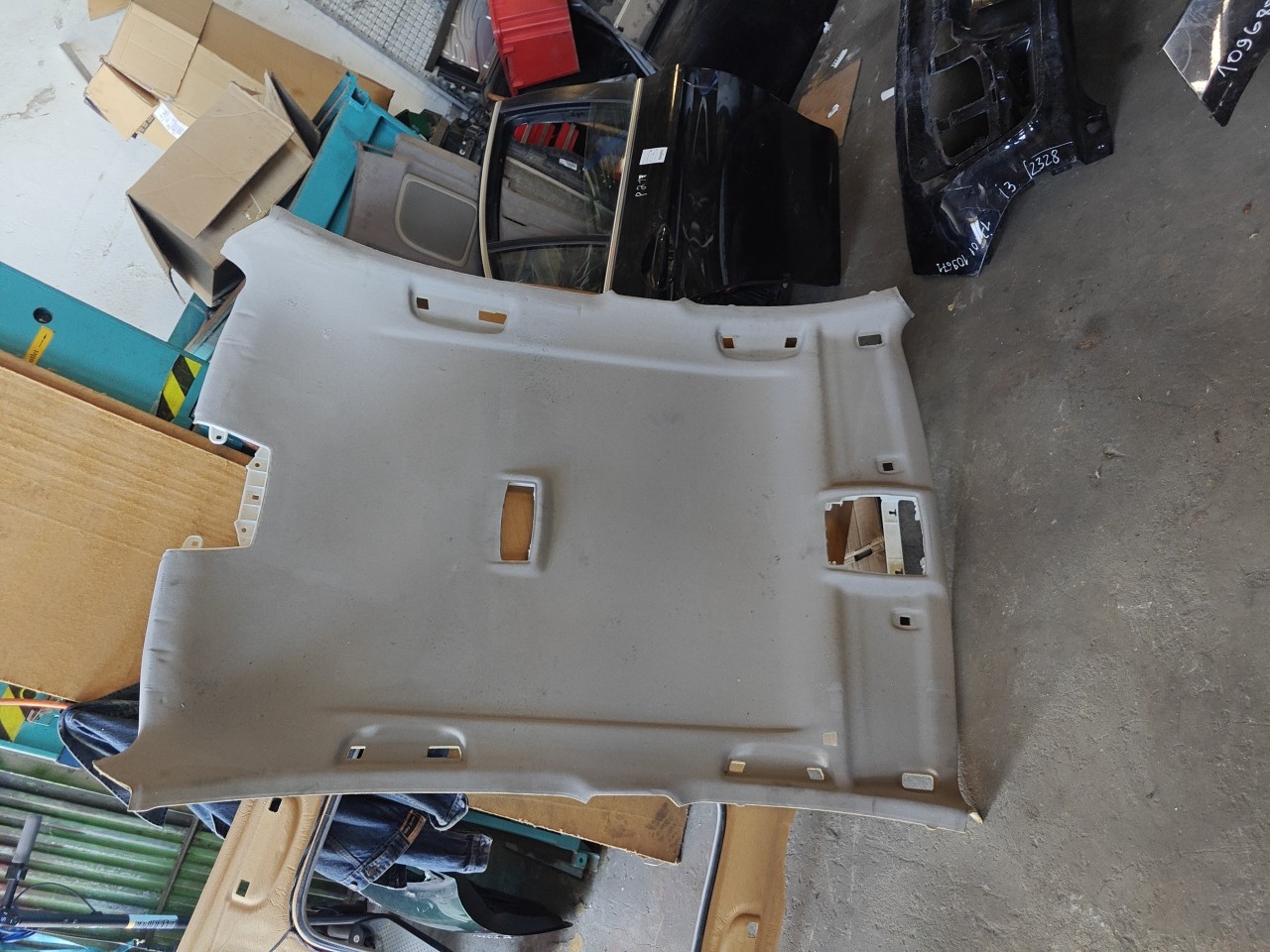 Cupula / Forro do Teto revestimento interior BMW 3 (F30, F80) | 11 - 18