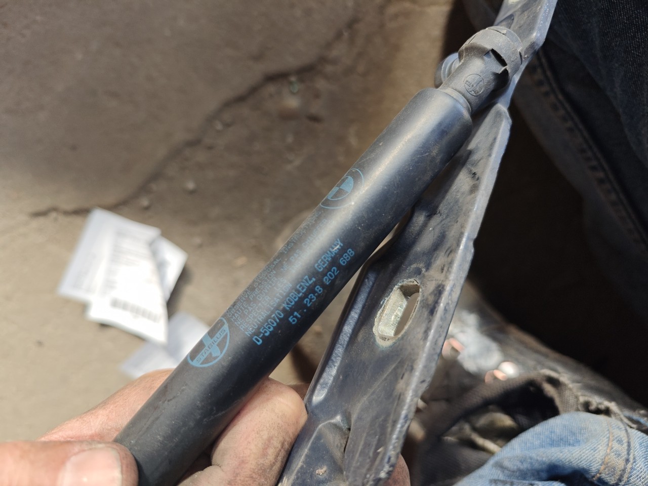 Amortecedor do Capot BMW 3 (E46) | 97 - 05