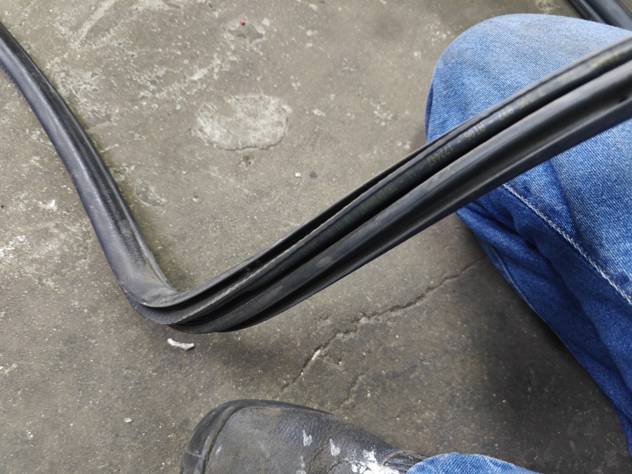 Borracha da Carroçaria Porta Frente Direita BMW 3 Touring (F31) | 12 - 19 Imagem-4