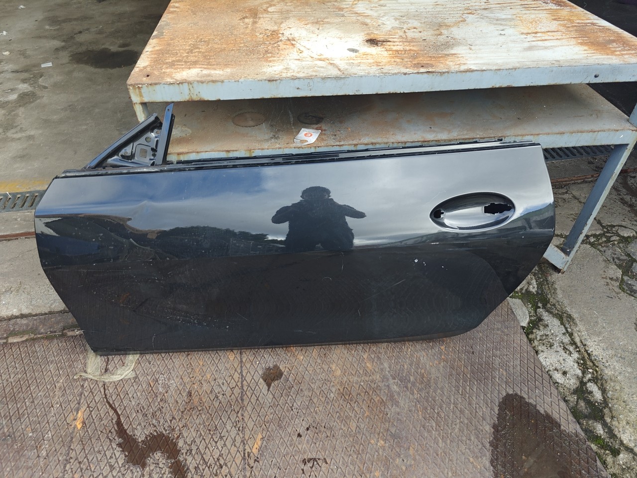 Porta Frente Esquerda nua RENAULT Clio II (BB0/1/2_, CB0/1/2_)