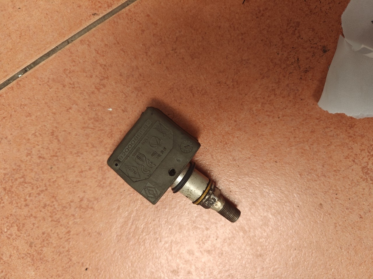 Valvula da Jante / do pneu / da roda RENAULT LAGUNA II (BG0/1_) | 01 - 07