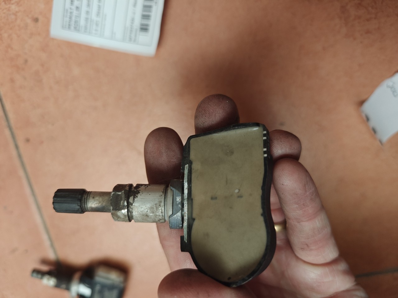 Valvula da Jante / do pneu / da roda RENAULT MEGANE III Combi Van (KZ0/1) | 09 - 15 Imagem-1