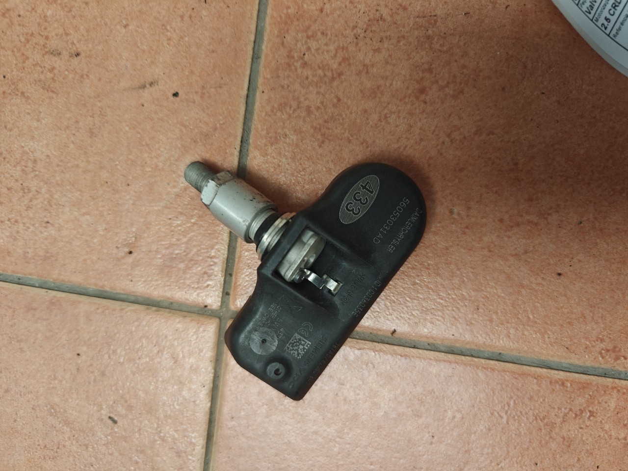 Valvula da Jante / do pneu / da roda CHRYSLER VOYAGER III (RG, RS) | 99 - 08