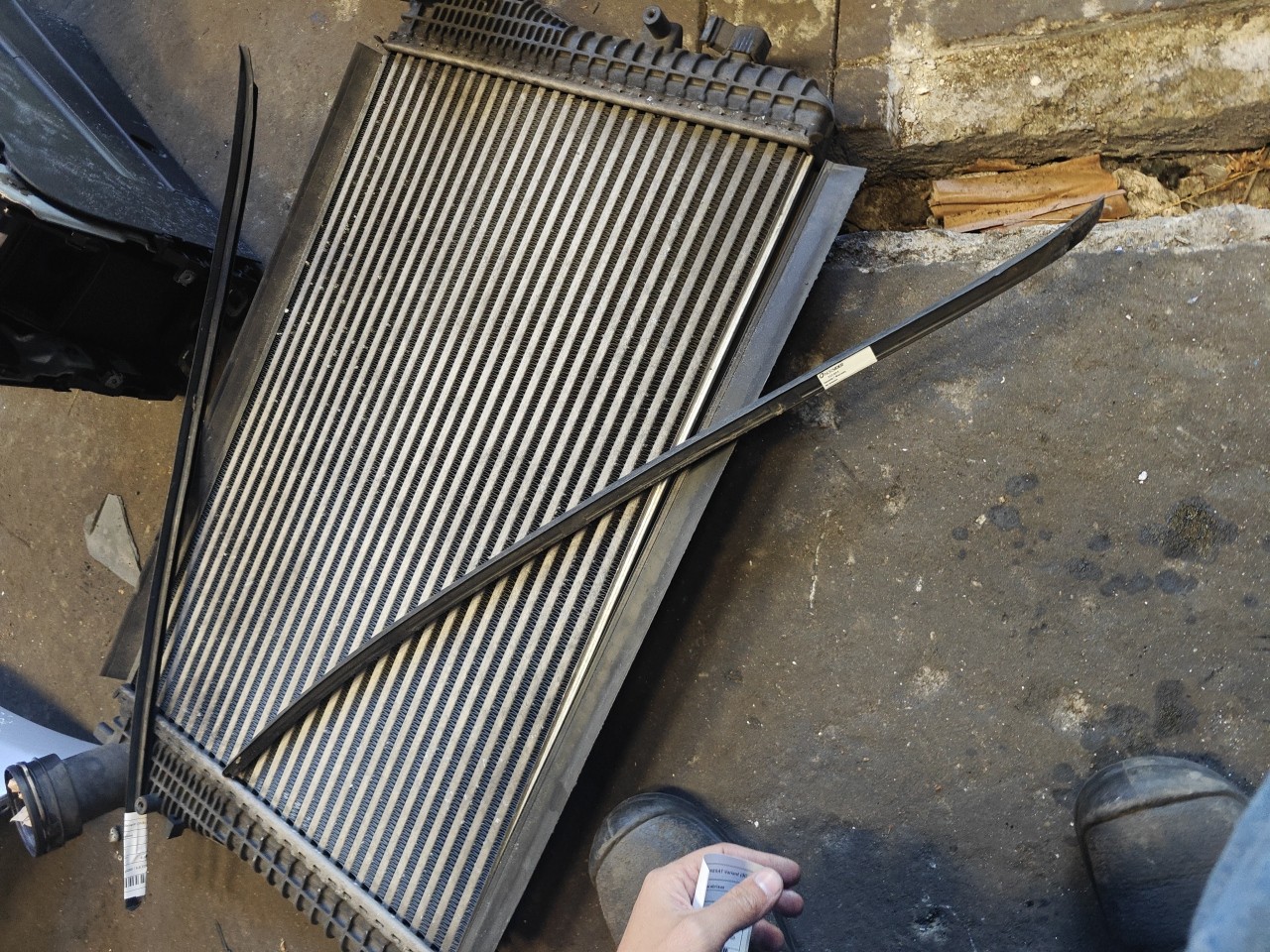 Friso Direito do Parabrisas VOLKSWAGEN PASSAT Variant (3C5) | 05 - 11