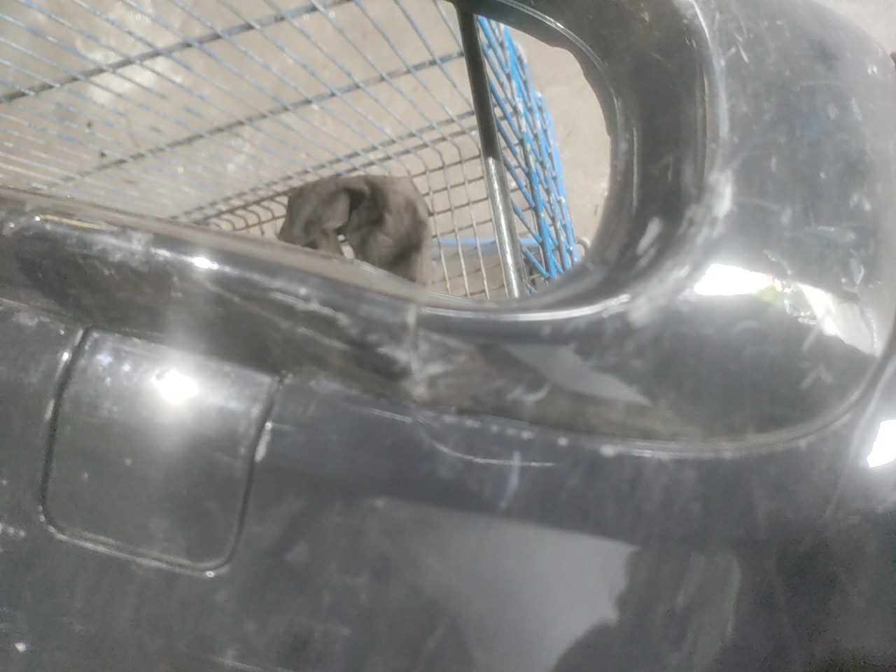 Parachoques Trás / Para Choques traseiro nu MINI MINI (F56) | 13 -  Imagem-7 Parachoques Trás / Para Choques traseiro nu MINI MINI (F56) | 13 -  Imagem-7