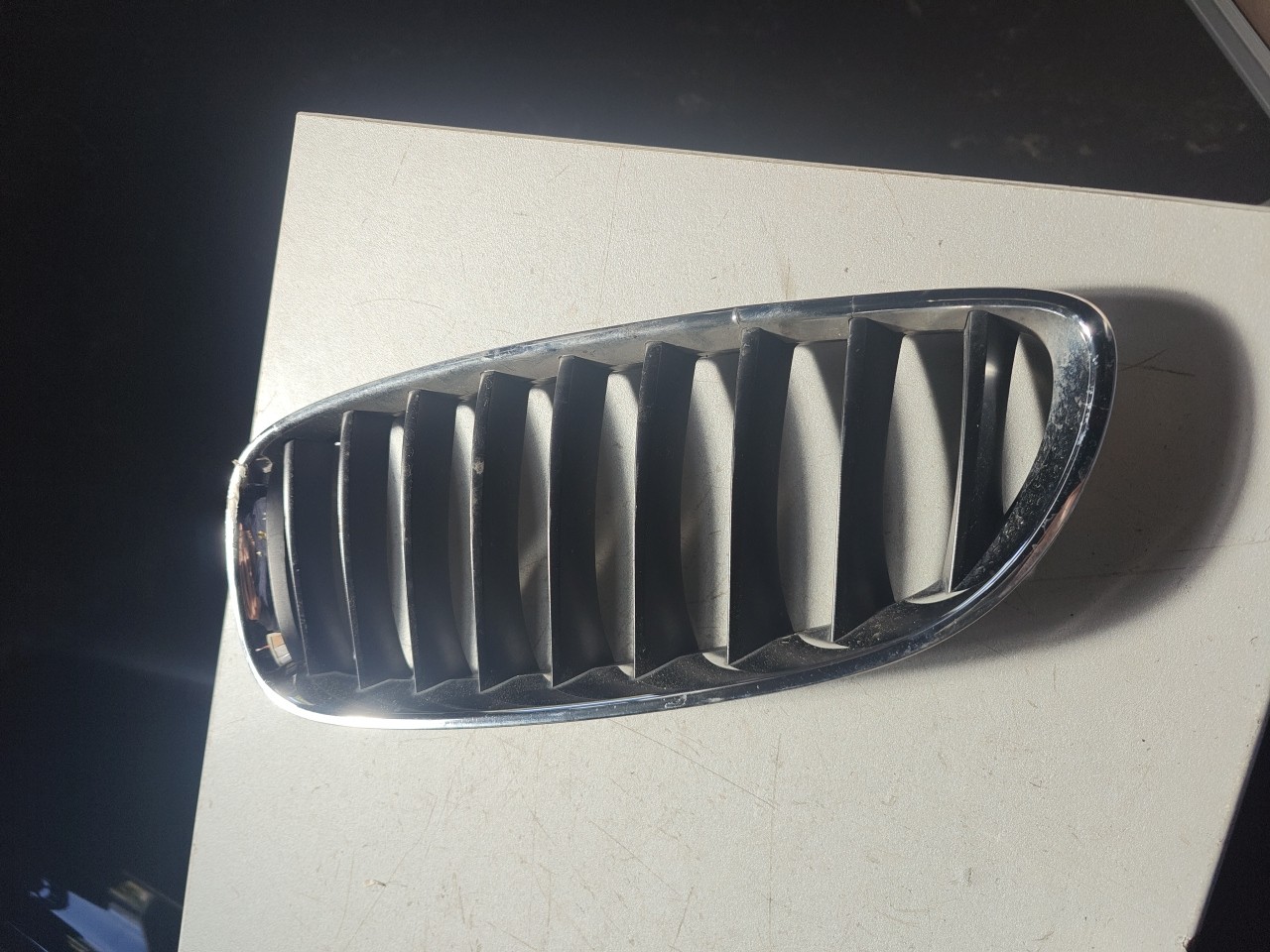 Grelha Superior Esquerda do Parachoques Frente BMW Z4 Roadster (E89) | 09 - 16