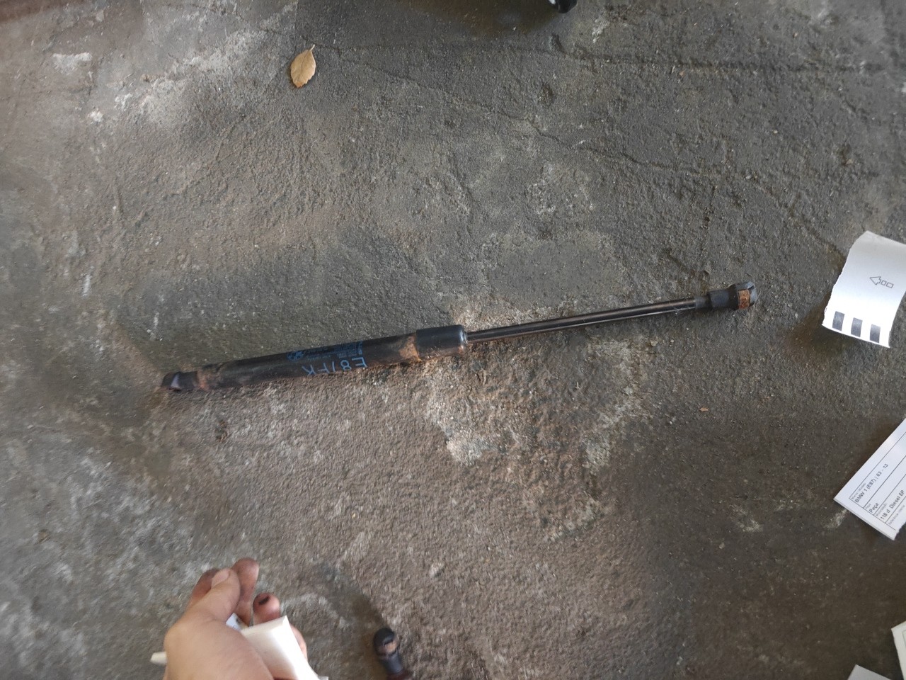Amortecedor do Capot BMW 1 (E87) | 03 - 13