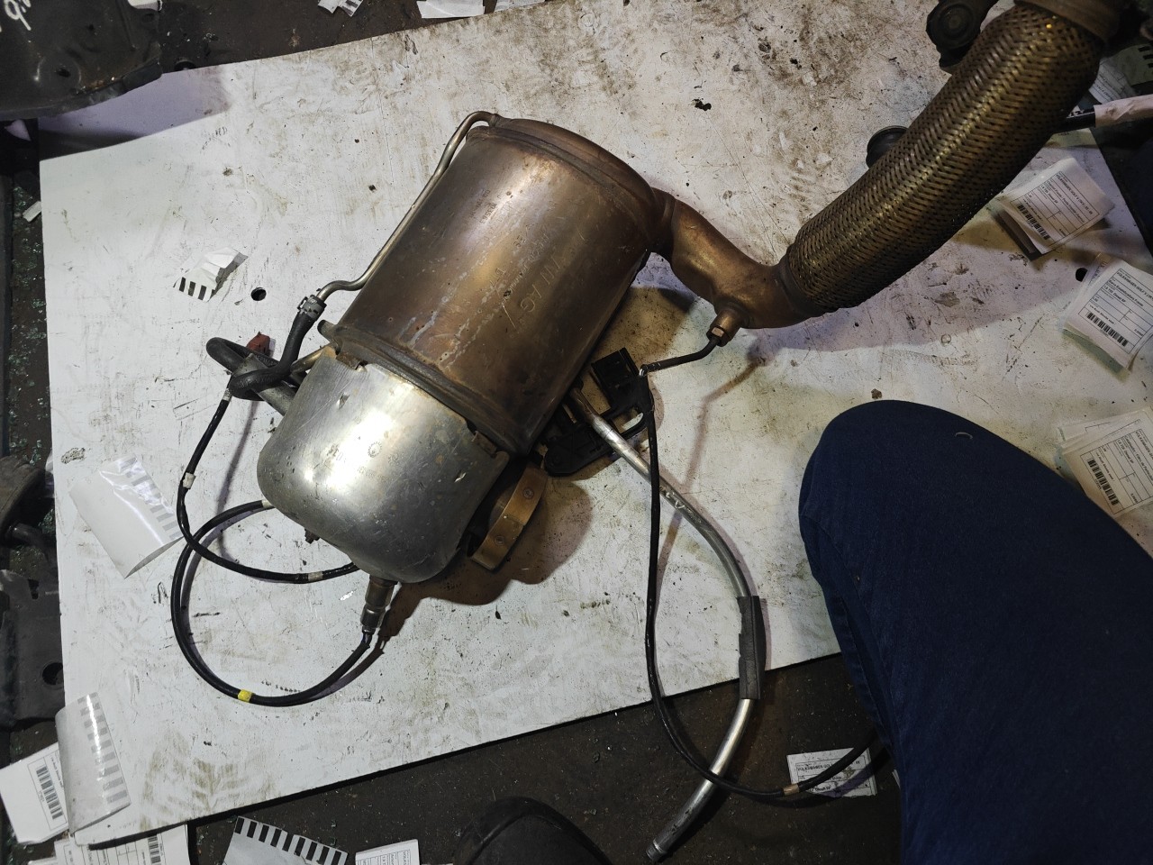 Catalisador / Filtro de Particulas VOLKSWAGEN GOLF V (1K1) | 03 - 09