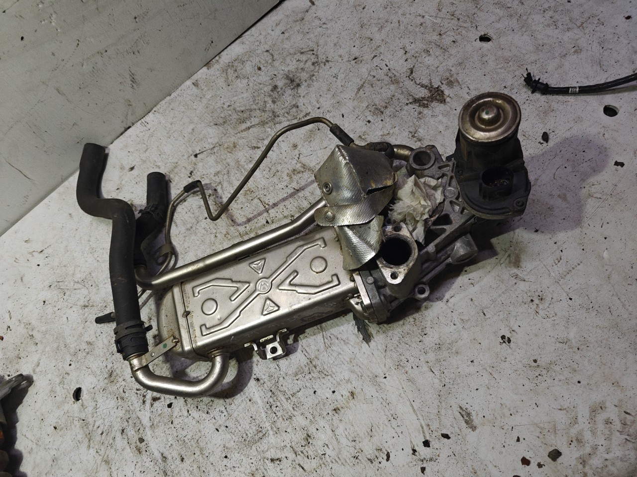 Valvula EGR com Refrigerador de Gases VOLKSWAGEN GOLF VI (5K1) | 08 - 14