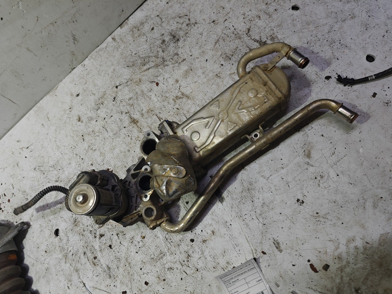 Valvula EGR com Refrigerador de Gases VOLKSWAGEN GOLF VI (5K1) | 08 - 14