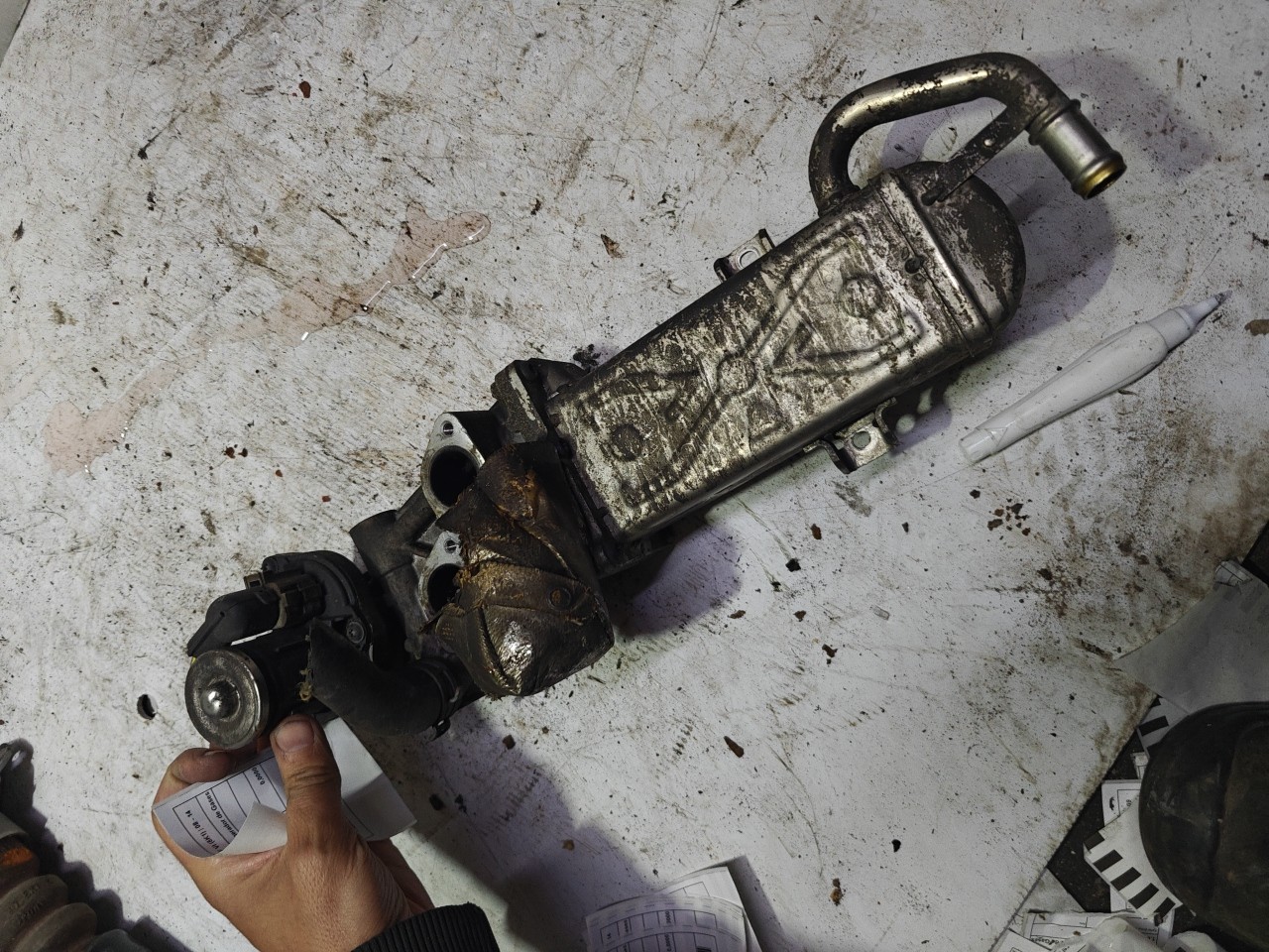 Valvula EGR com Refrigerador de Gases VOLKSWAGEN GOLF VI (5K1) | 08 - 14