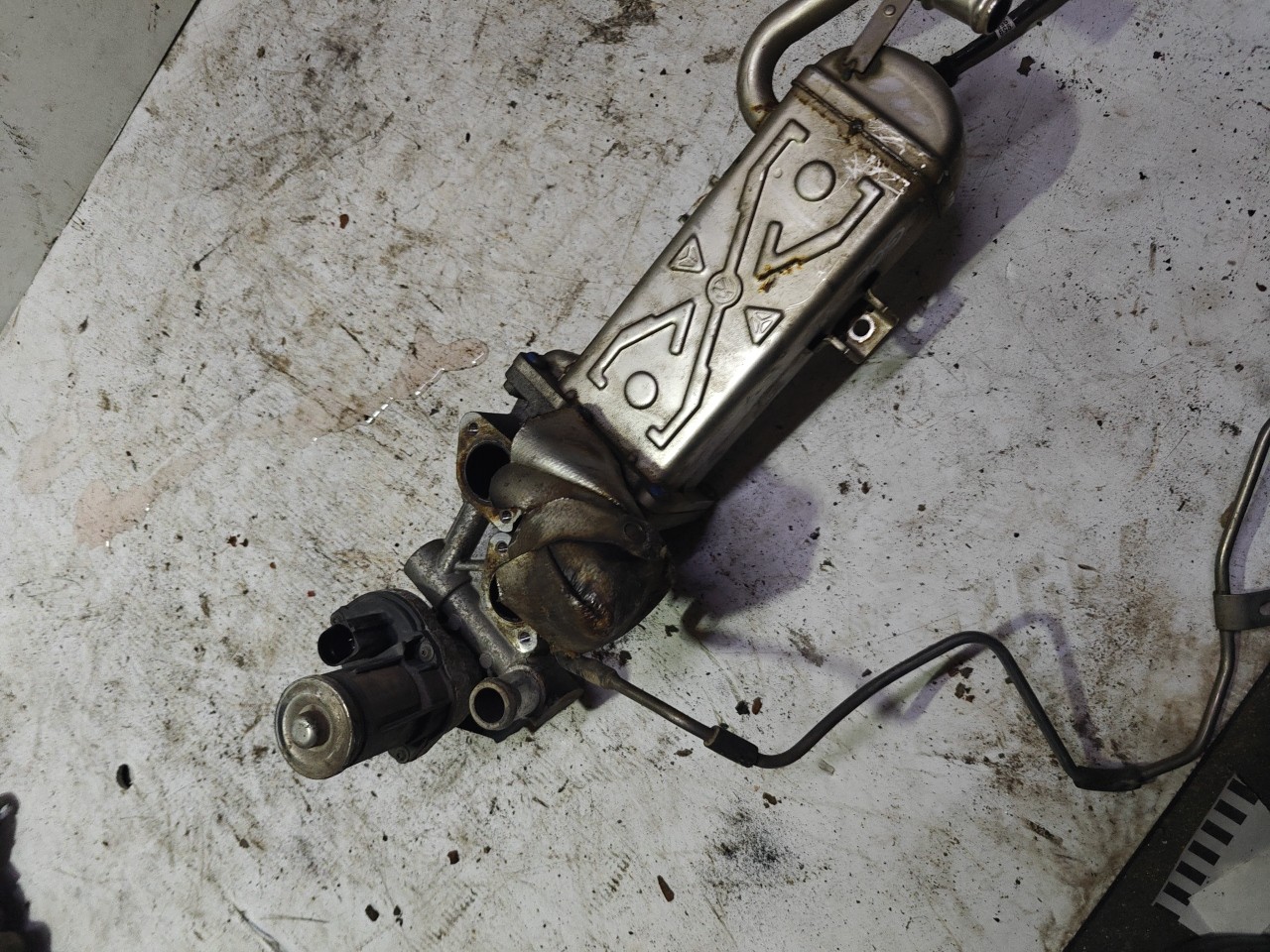 Valvula EGR com Refrigerador de Gases VOLKSWAGEN GOLF VI (5K1) | 08 - 14