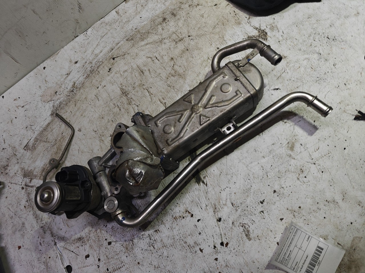 Valvula EGR com Refrigerador de Gases VOLKSWAGEN GOLF VI (5K1) | 08 - 14