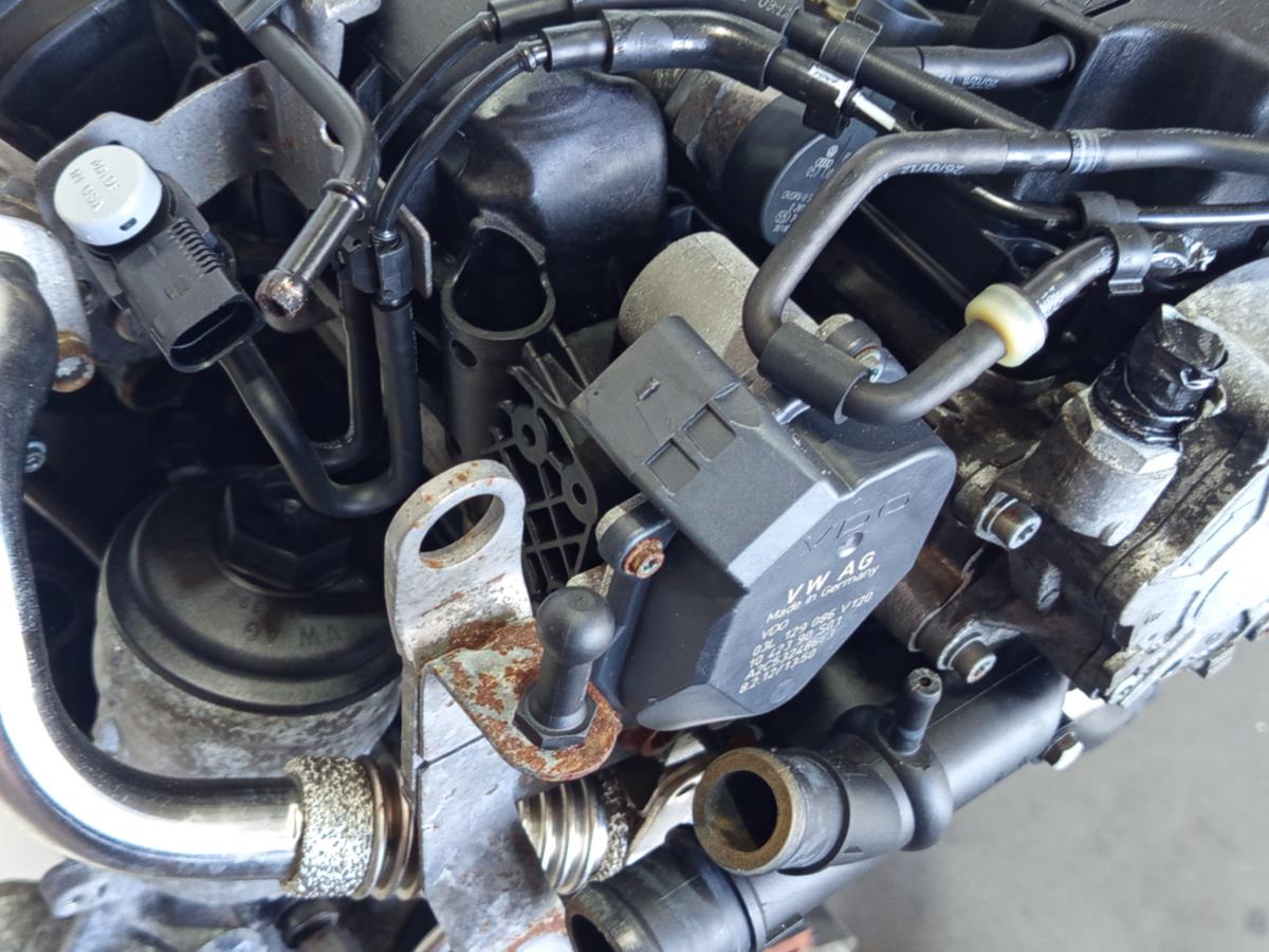 Motor SKODA OCTAVIA II Combi (1Z5) | 04 - 13 Imagem-12