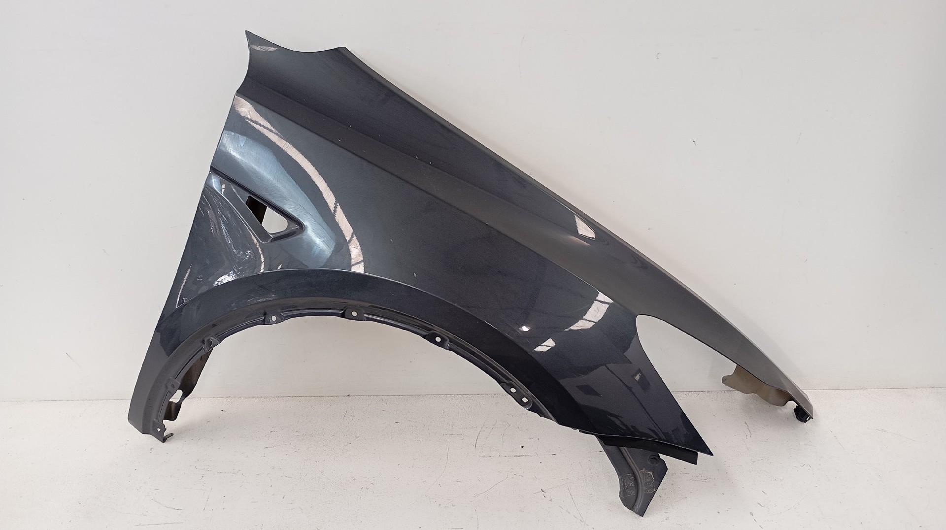 Guarda Lamas Frente Direito TESLA MODEL Y (5YJY)