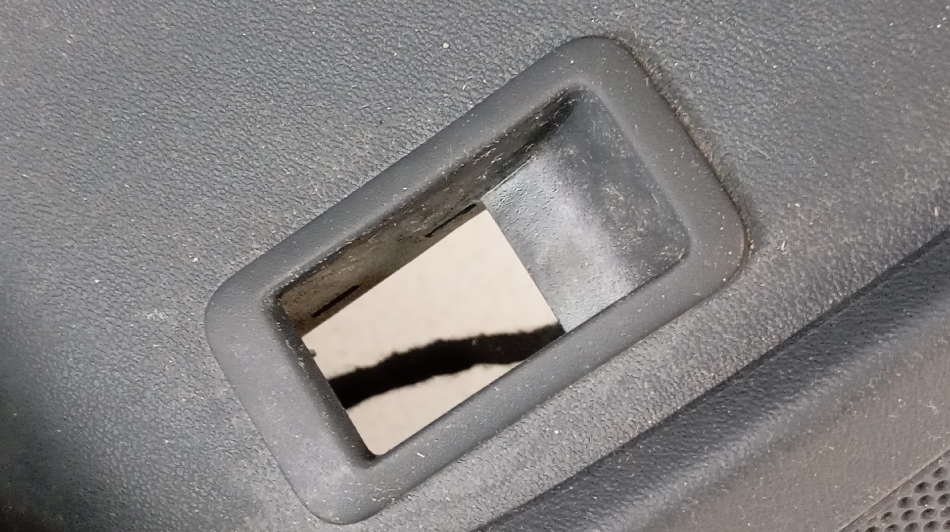 Quartela / Forra Porta Frente Esquerda AUDI Q4 E-TRON (F4B) Imagem-3