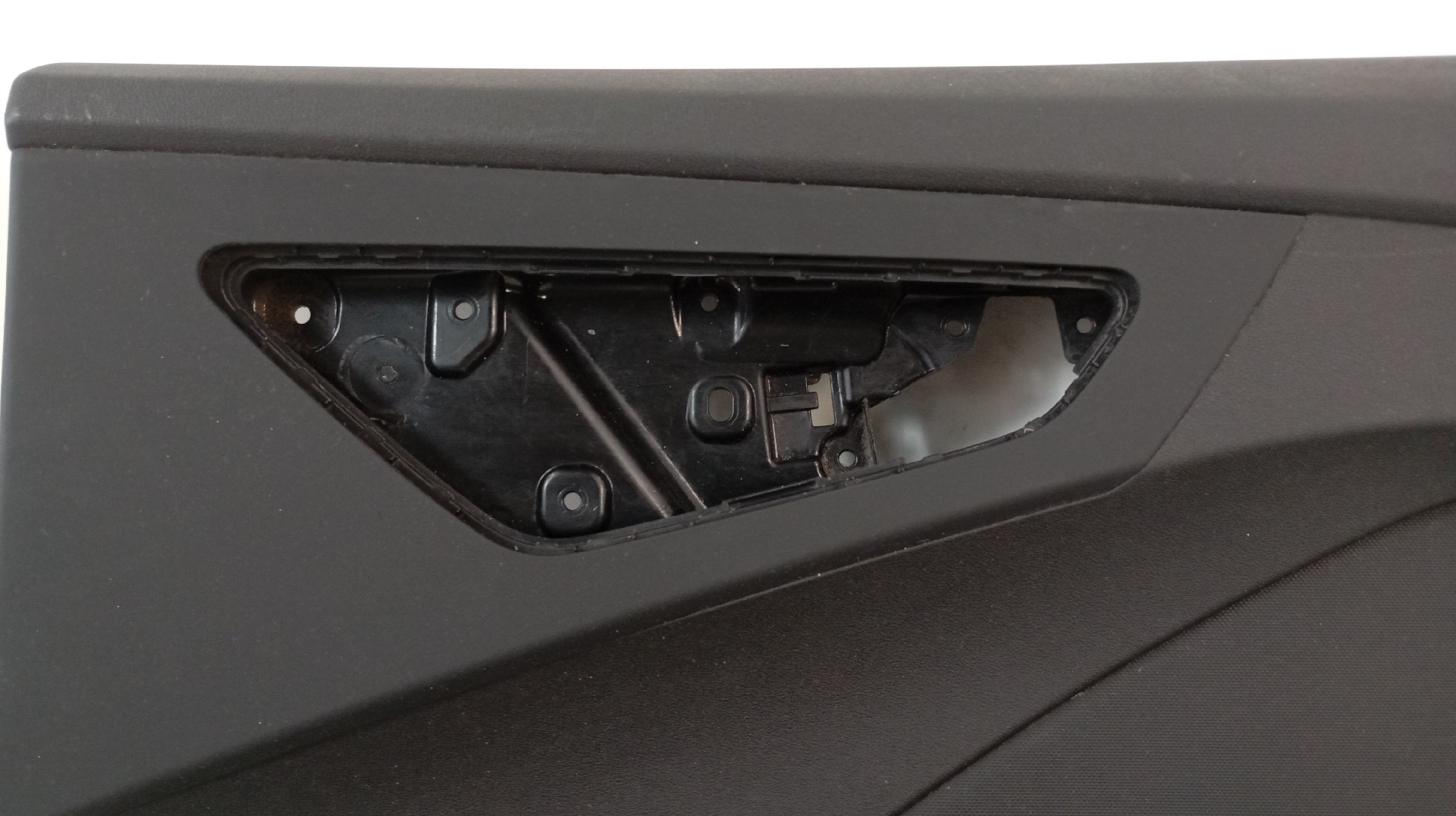 Quartela / Forra Porta Traseira Direita AUDI Q4 E-TRON (F4B) Imagem-1