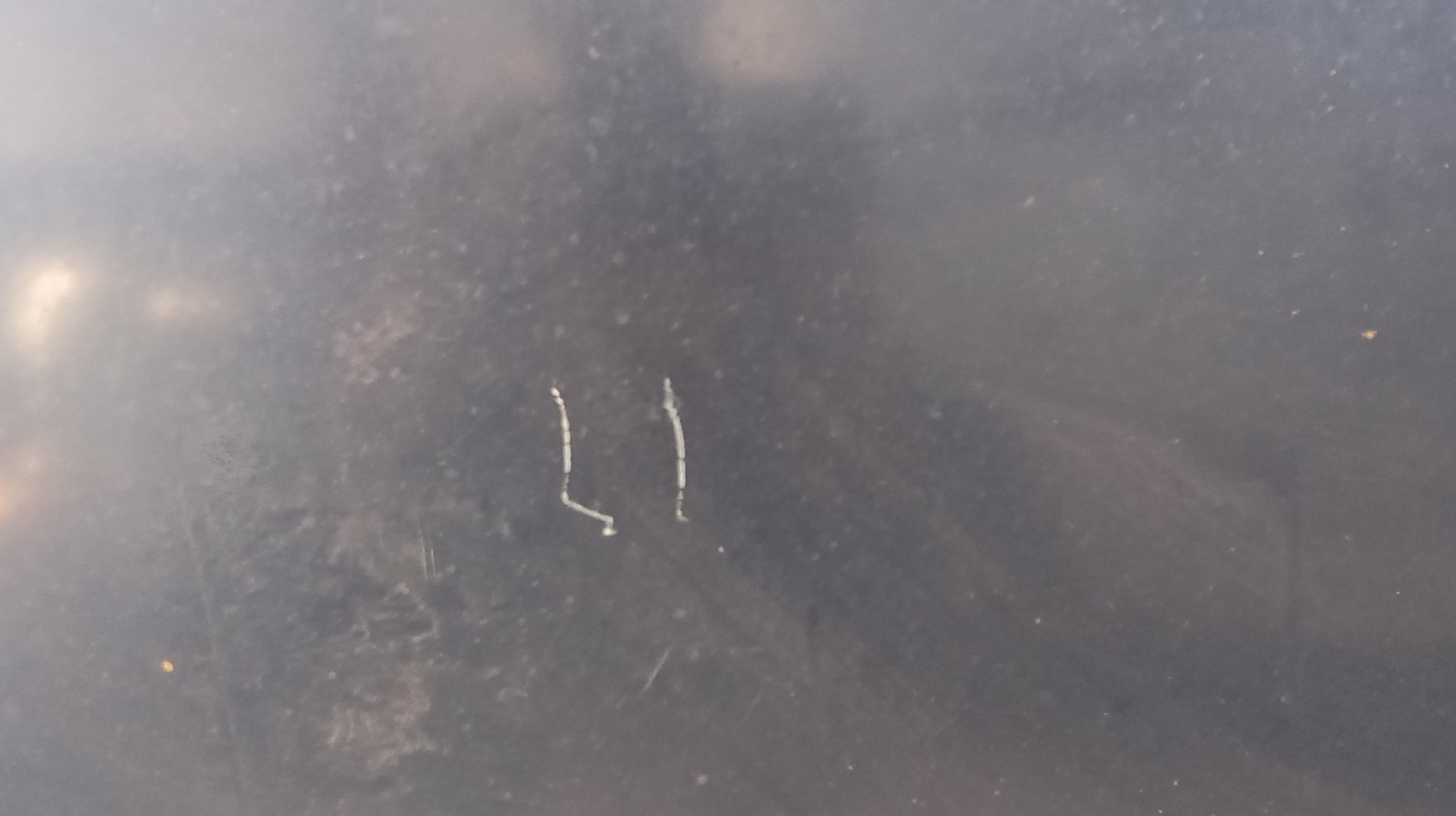 Capot TOYOTA COROLLA 2.0 D-4D Imagem-1