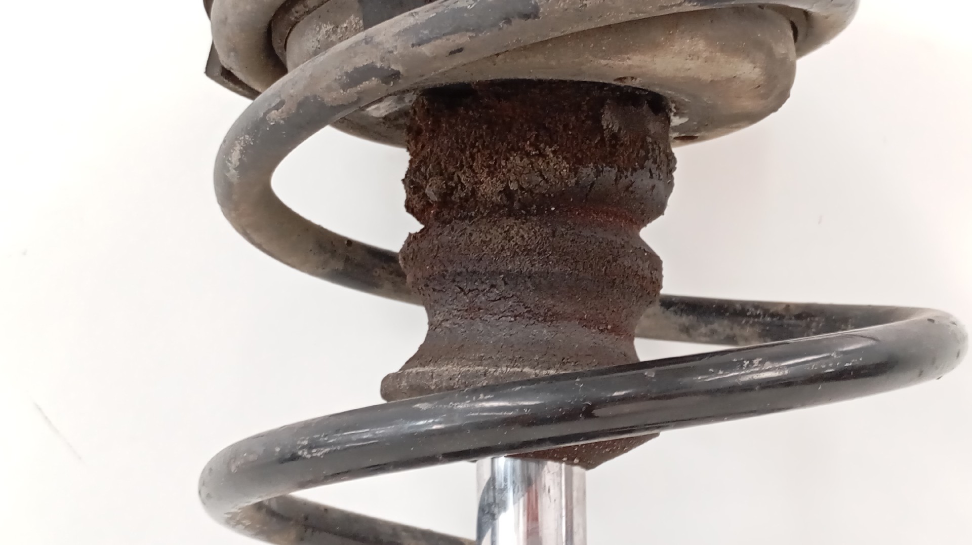 Amortecedor Frente Direito BMW 5 (E39) | 95 - 03 Imagem-2