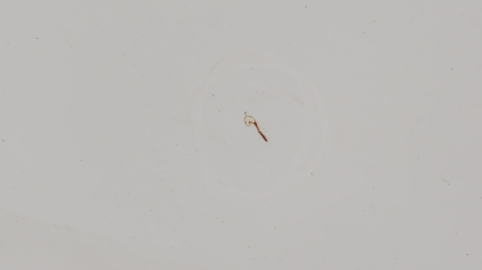 Puerta Trasera Izq RENAULT ZOE (BFM_) | 12 -  Imagem-2