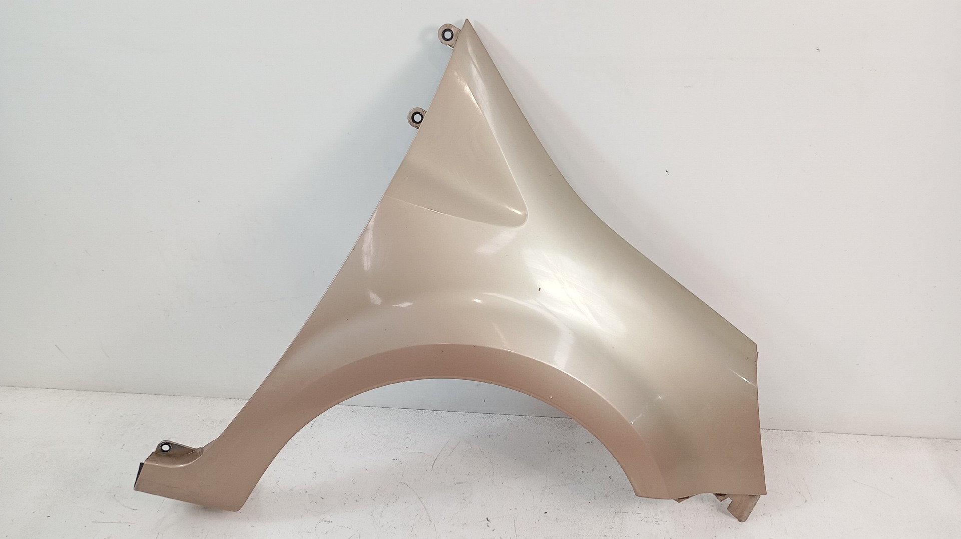 Guarda Lamas Frente Direito RENAULT MODUS / GRAND MODUS (F/JP0_) | 04 - 