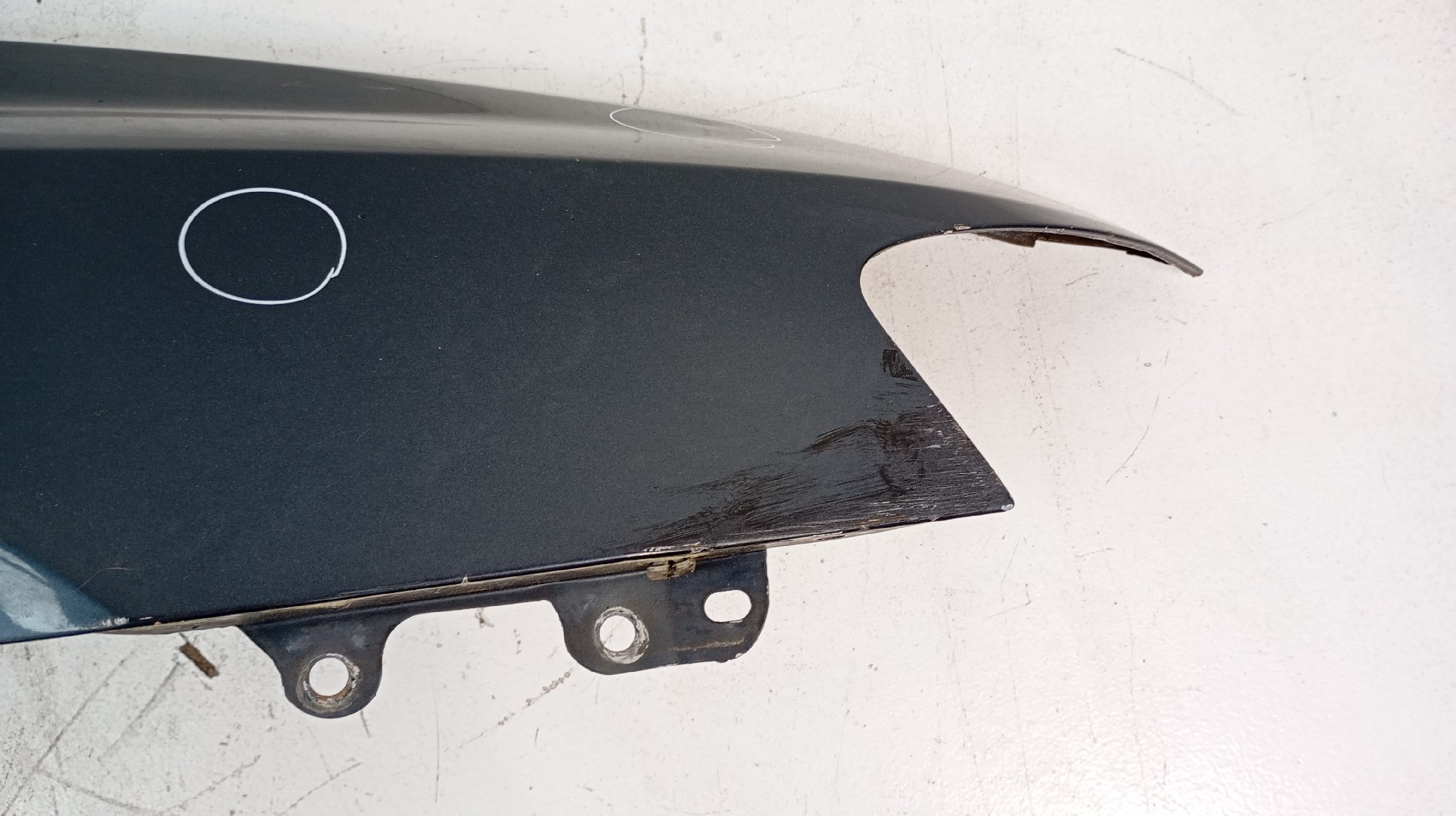 Guarda Lamas Frente Direito FIAT STILO (192_) | 01 - 10 Imagem-1