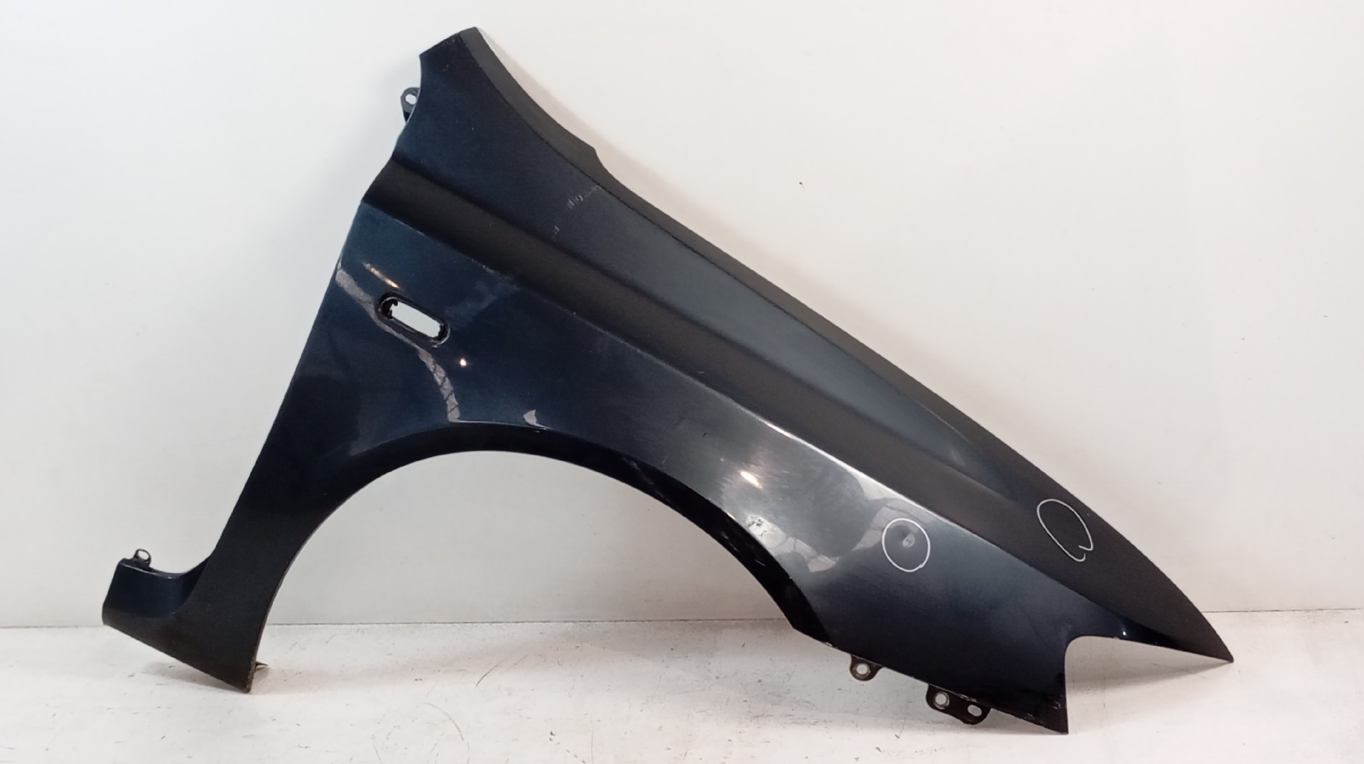 Guarda Lamas Frente Direito FIAT STILO (192_) | 01 - 10