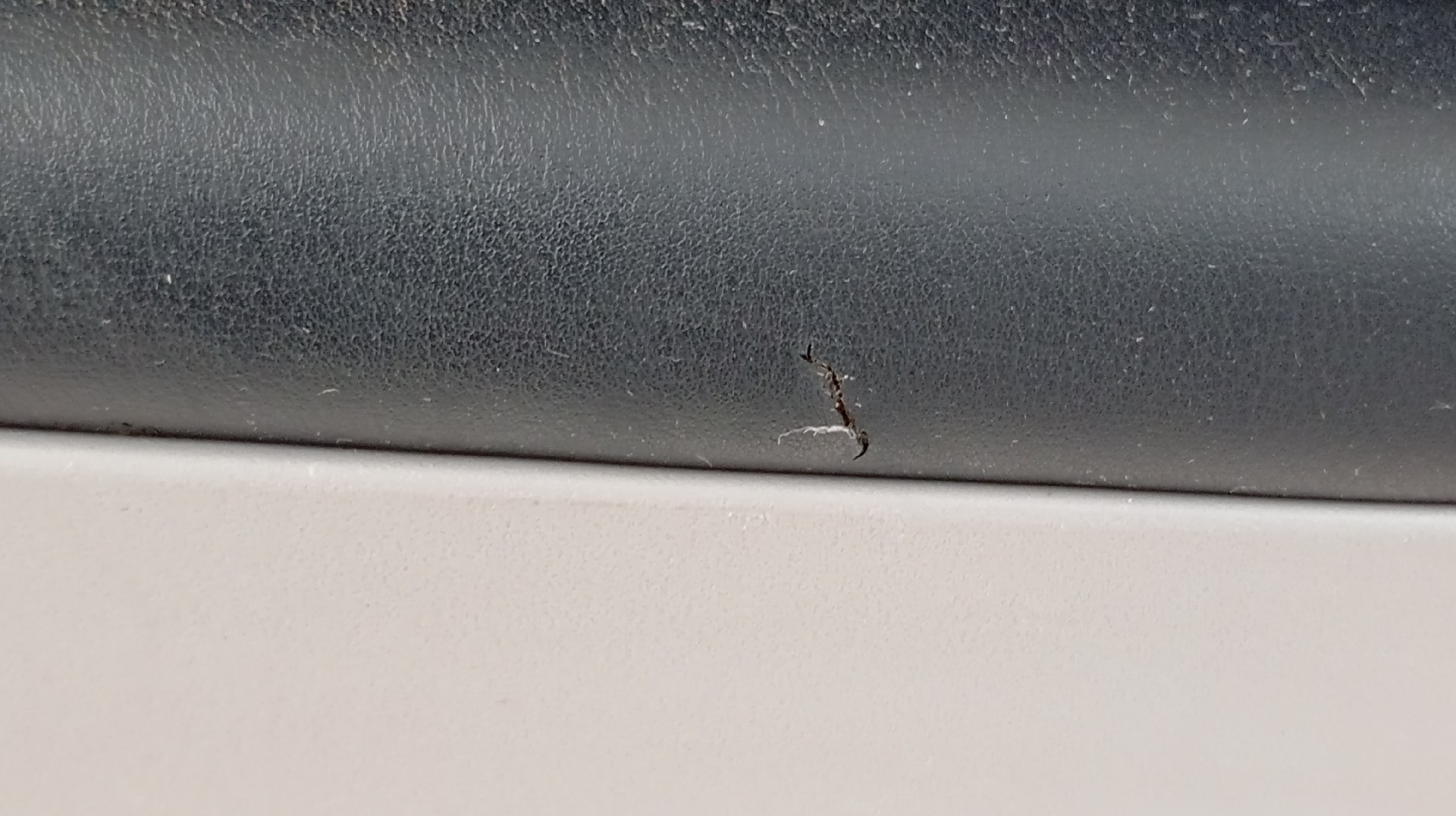 Forra Porta Traseira Direita MITSUBISHI GRANDIS 2.0 Imagem-1
