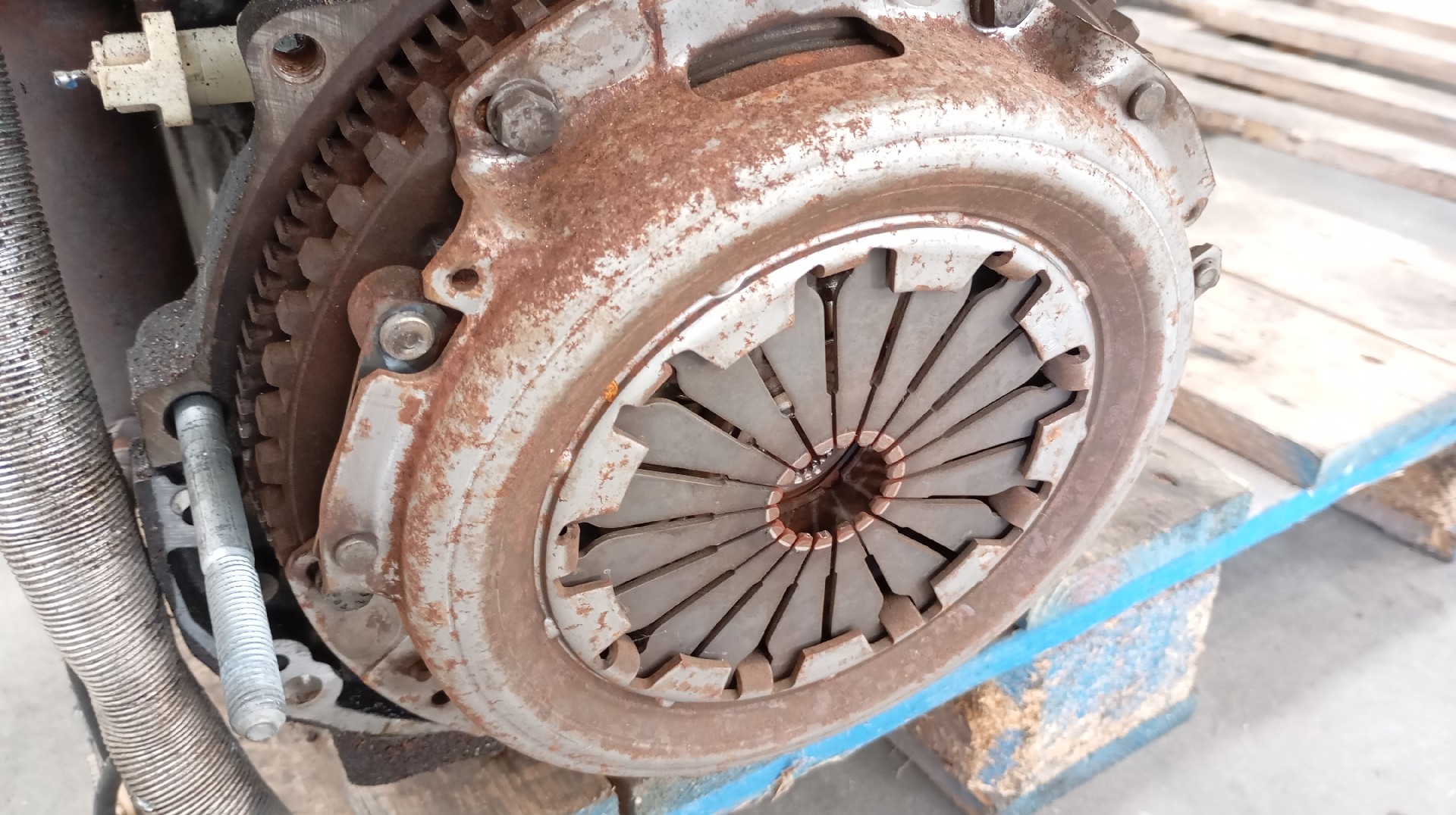 Motor  RENAULT MEGANE I Coach (DA0/1_) | 96 - 03 Imagem-9