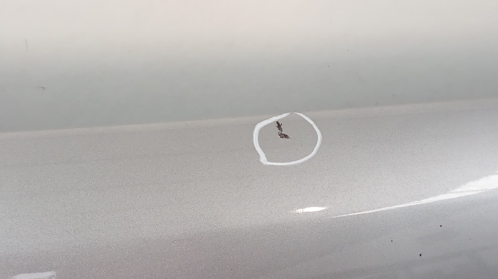 Embaladeira Direita RENAULT ZOE 2019- Imagem-3