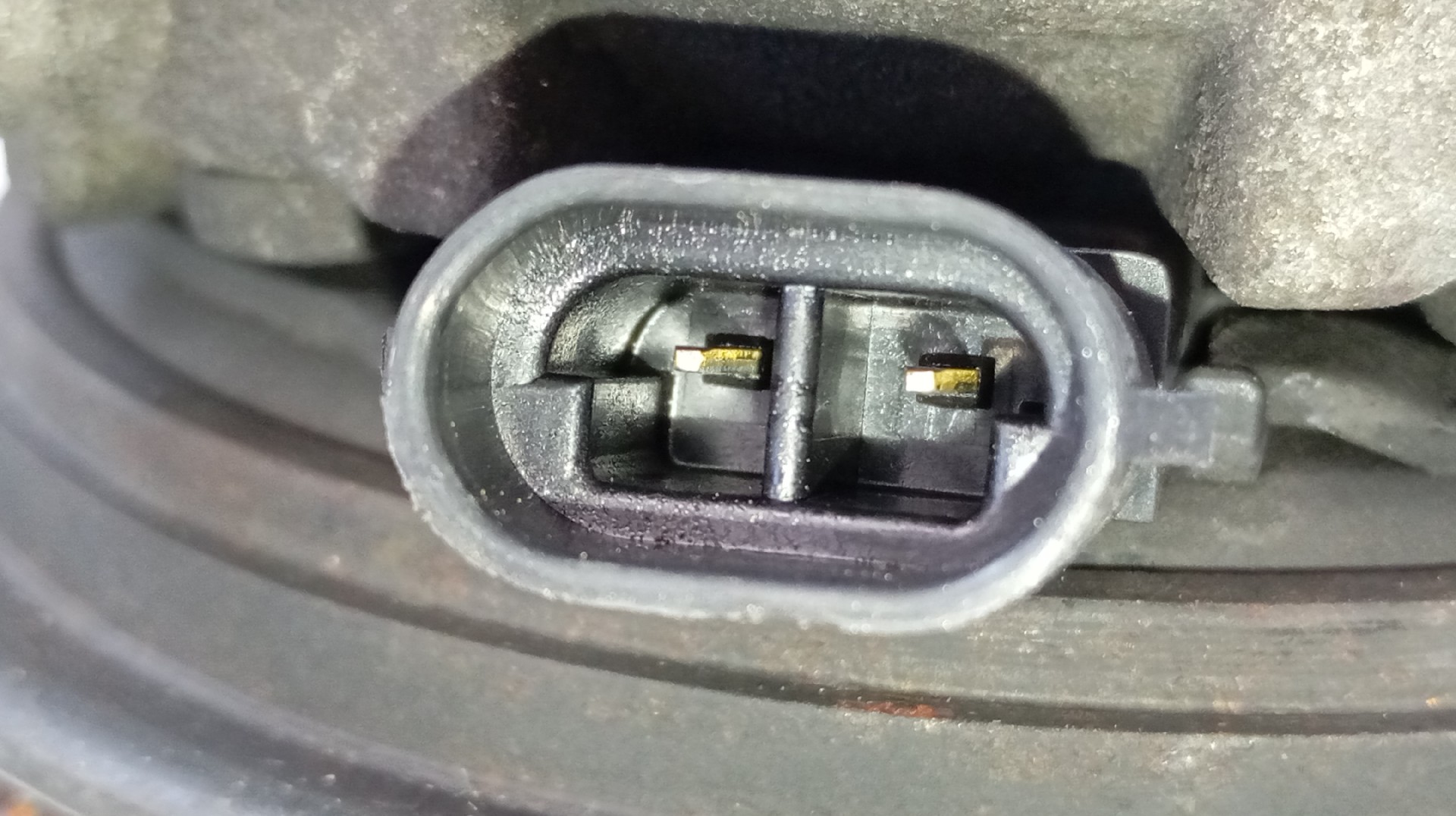 Compressor do Ar Condicionado RENAULT MEGANE II (BM0/1_, CM0/1_) | 01 - 12 Imagem-2