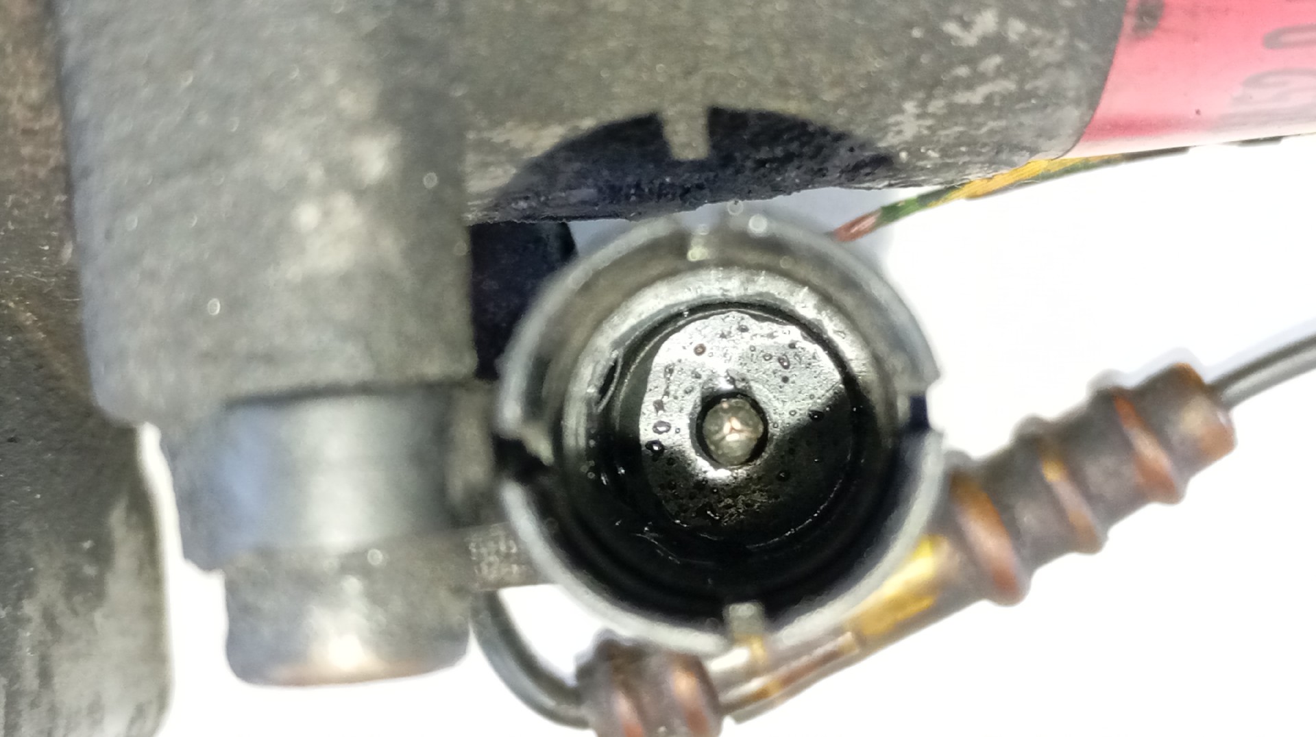 Compressor do Ar Condicionado BMW 3 Touring (E46) | 99 - 05 Imagem-3