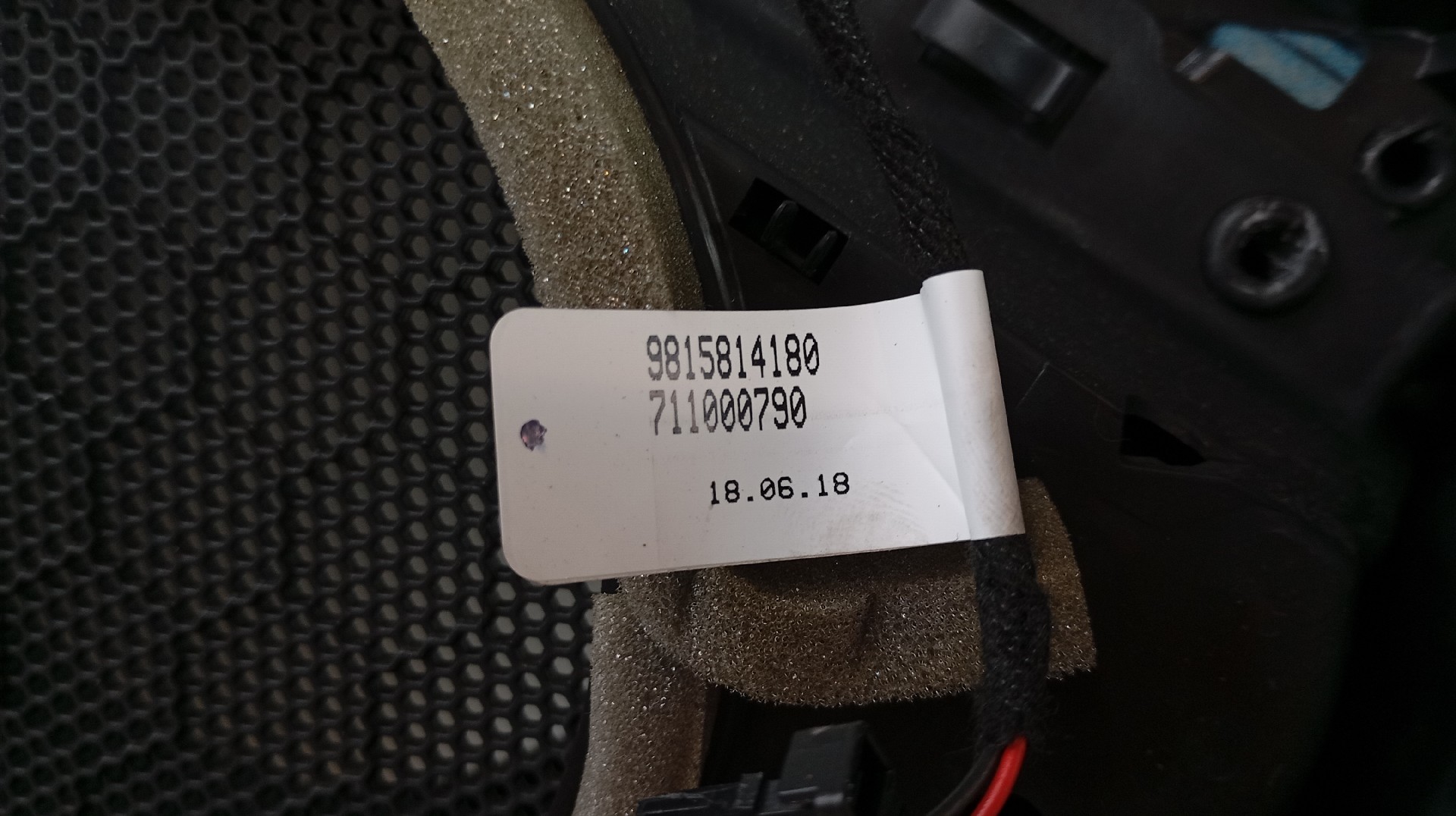 Quartela / Forra Porta Frente Direita PEUGEOT 3008 SUV (M_) | 16 -  Imagem-6